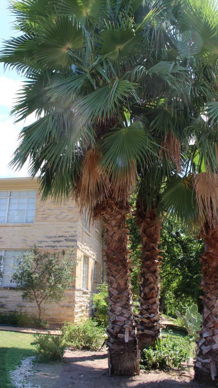 301 E 34th St Apt 105