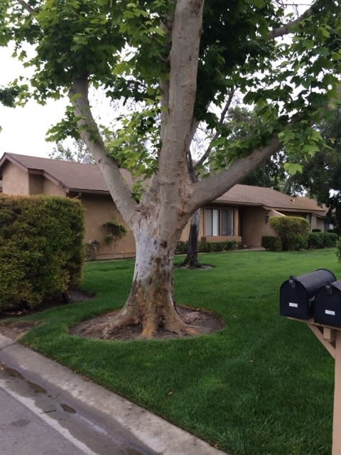 Leisure Village 55+ Gated Community