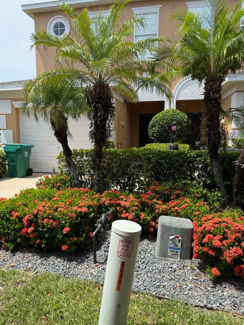 Daniels Landing Winter Garden