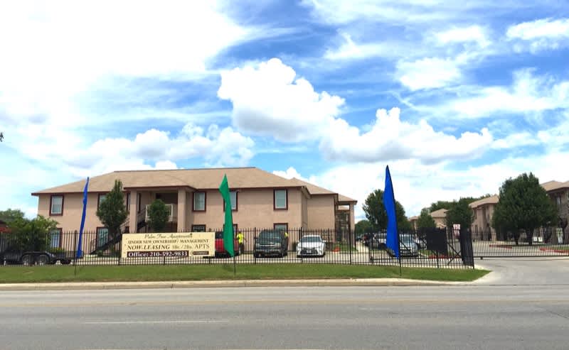 Palm Tree Apartments