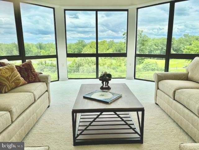 19400 LANSDOWNE WOODS BOULEVARD