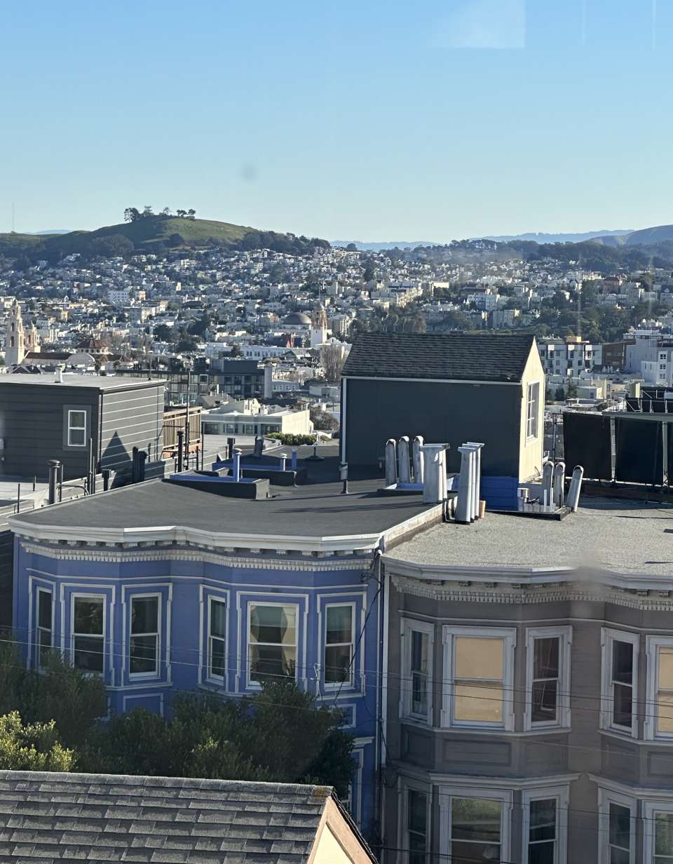 507 Steiner Street