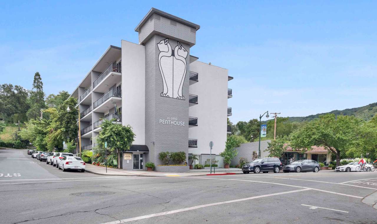 El Gato Penthouse