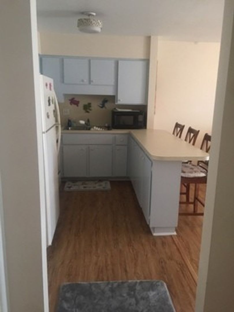 1/1 furnished annual in downtown PG