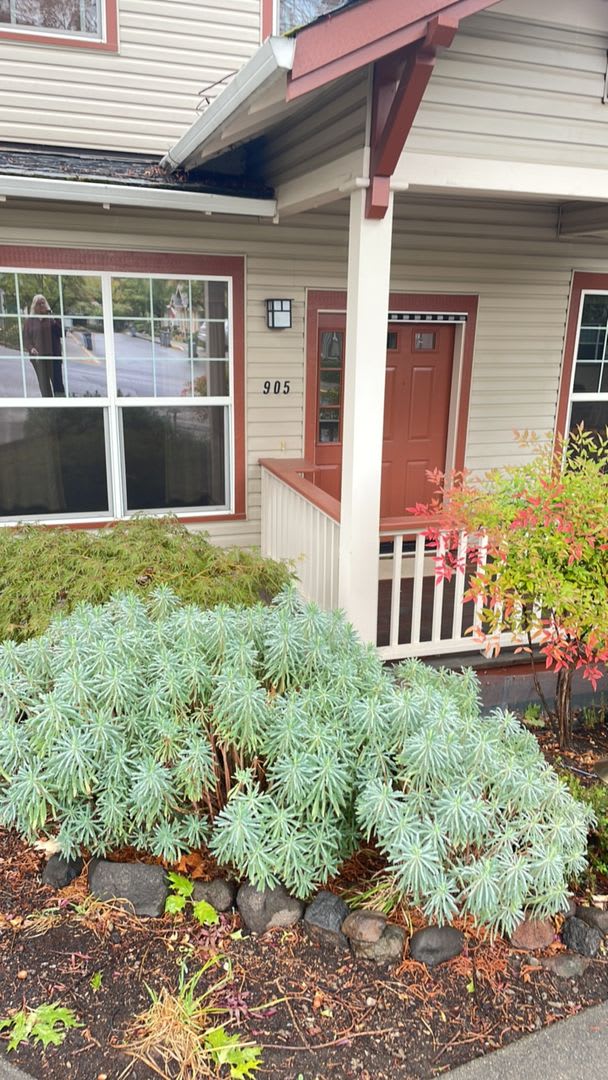 1 Bedroom +Bonus Room, 1.5 bath Condo in Mountain Meadows Community!