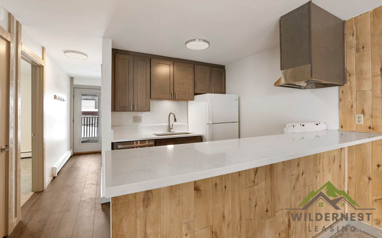 Updated Modern 2 Bedroom Unit w/ Fireplace