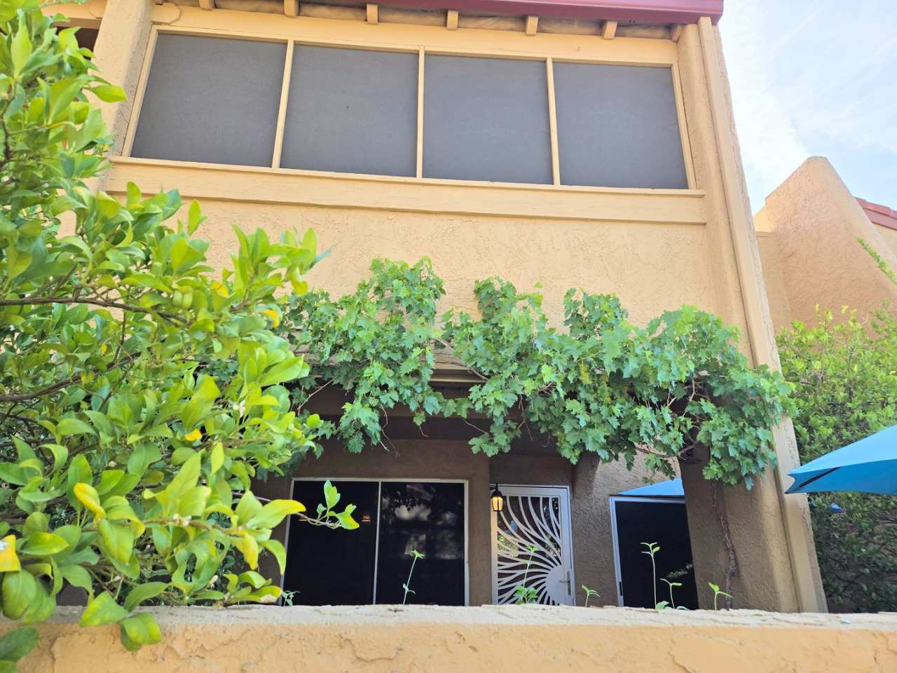 Beautiful two story, 3 bed, 1 full bath, 2 half bath townhome in Phoenix