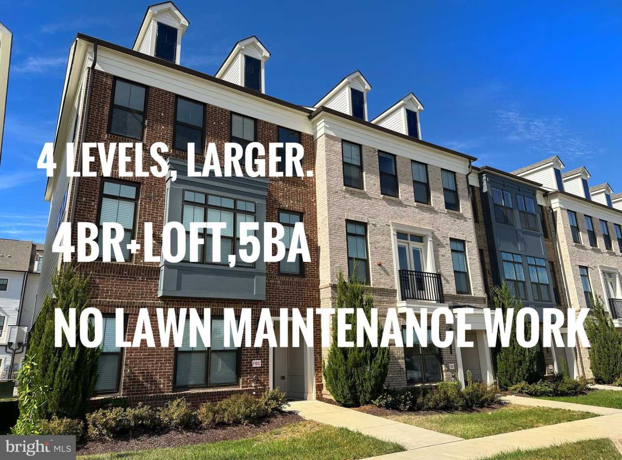 22591 AMENDOLA Terrace