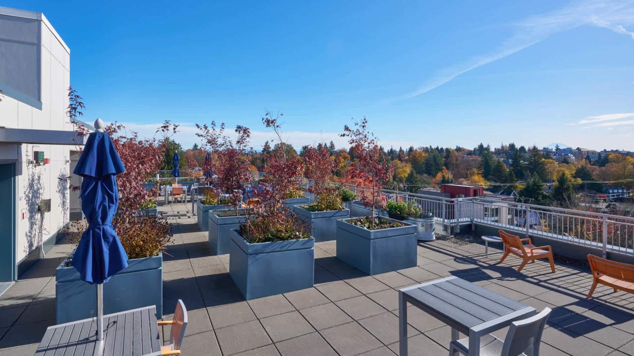 Square One Apartments