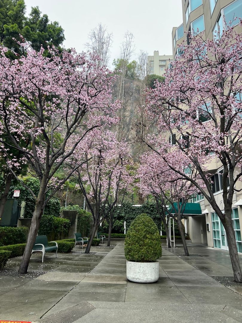 Charming 1BR/1BA Condominium in Financial District