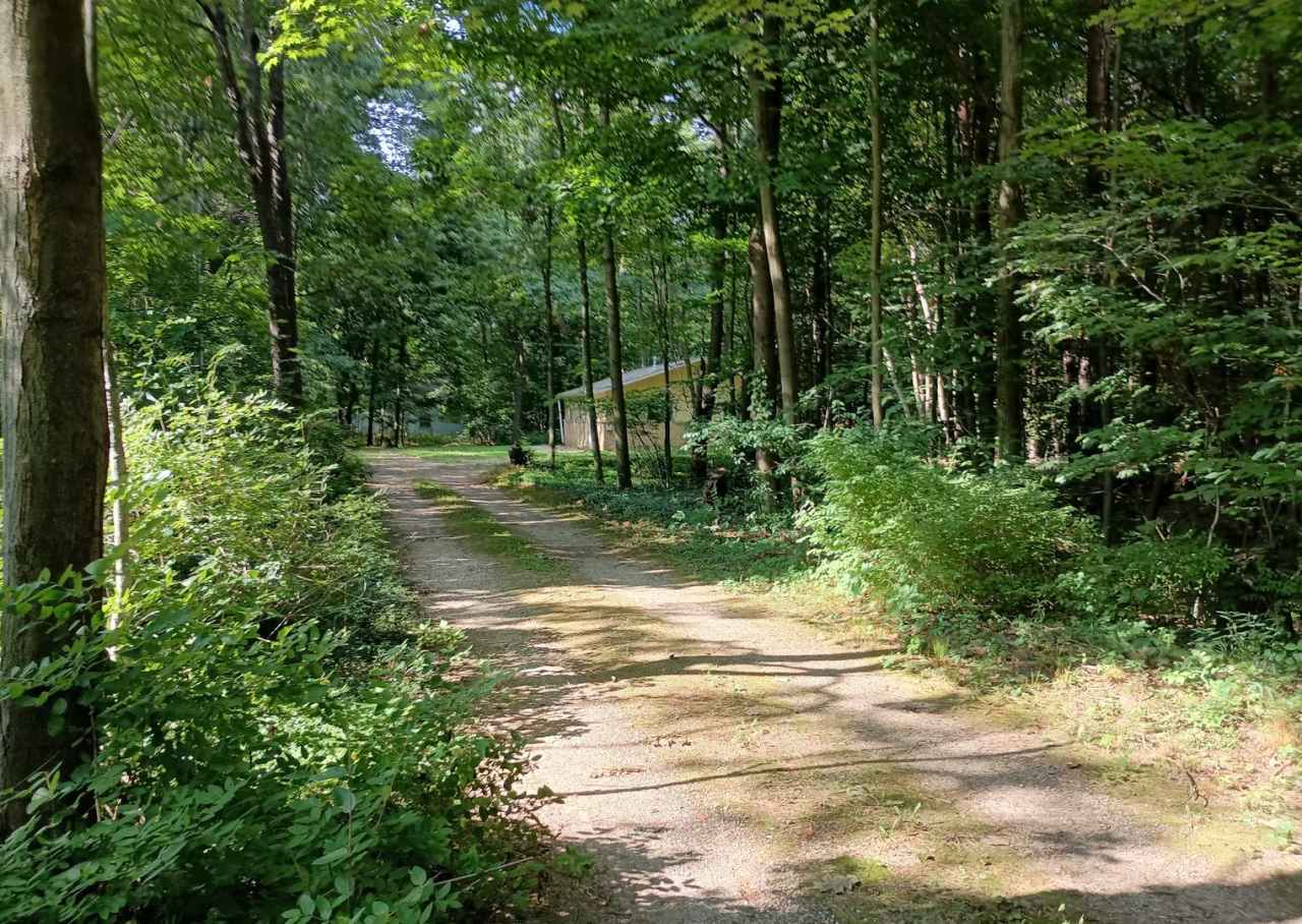 Cottage in the Woods