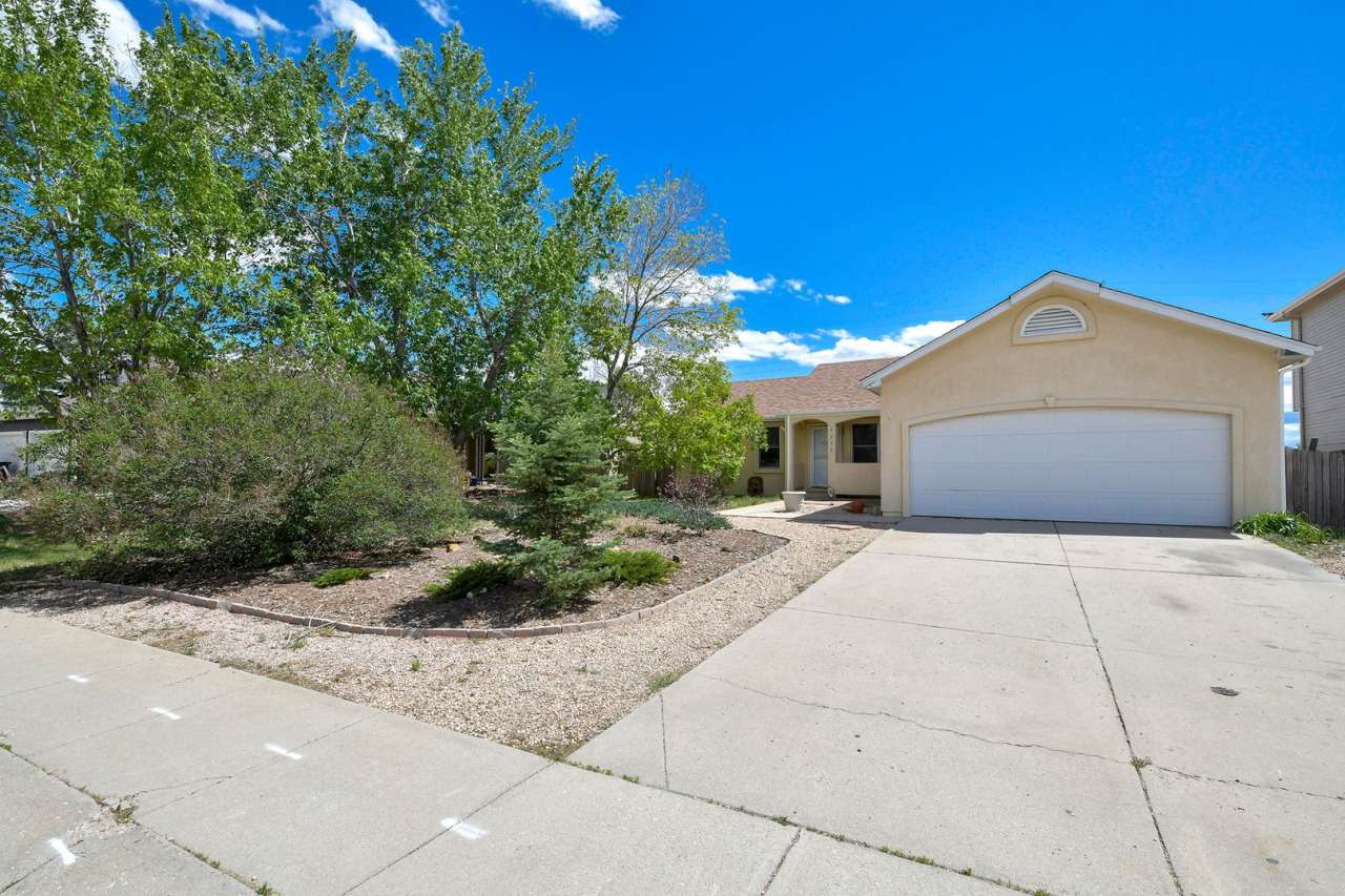 Pikes Peak Mountain View in Briargate! D20