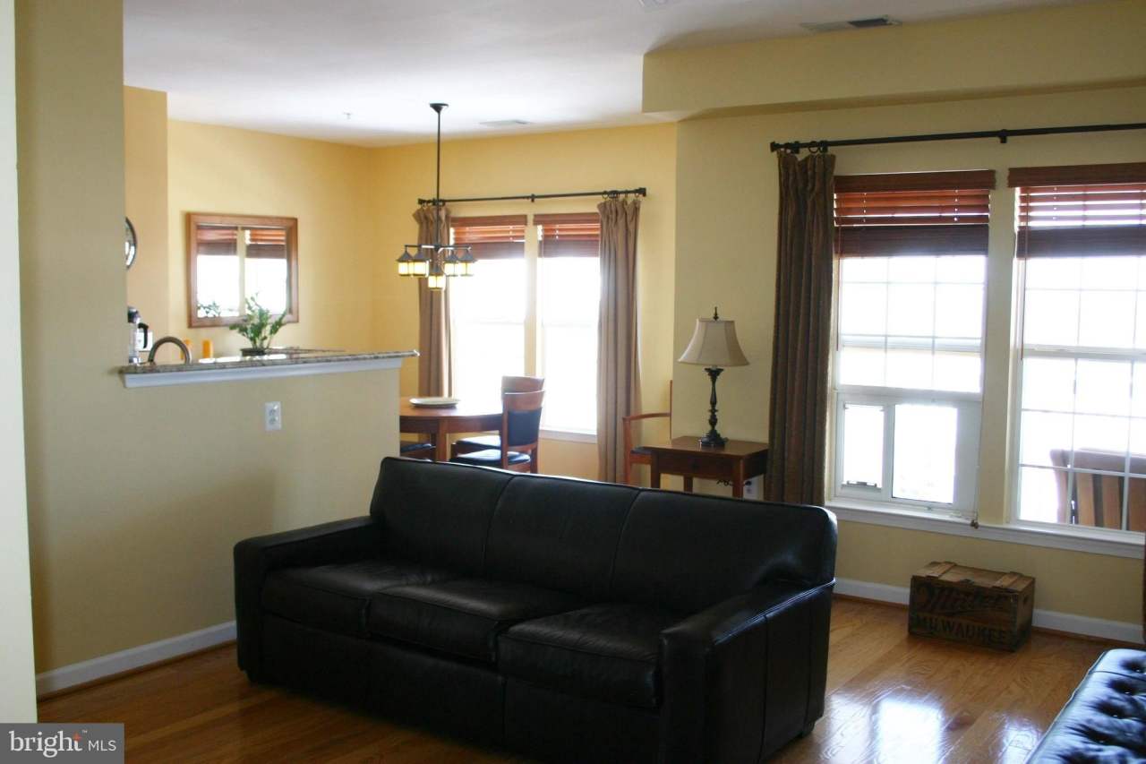 22706 BLUE ELDER TERRACE