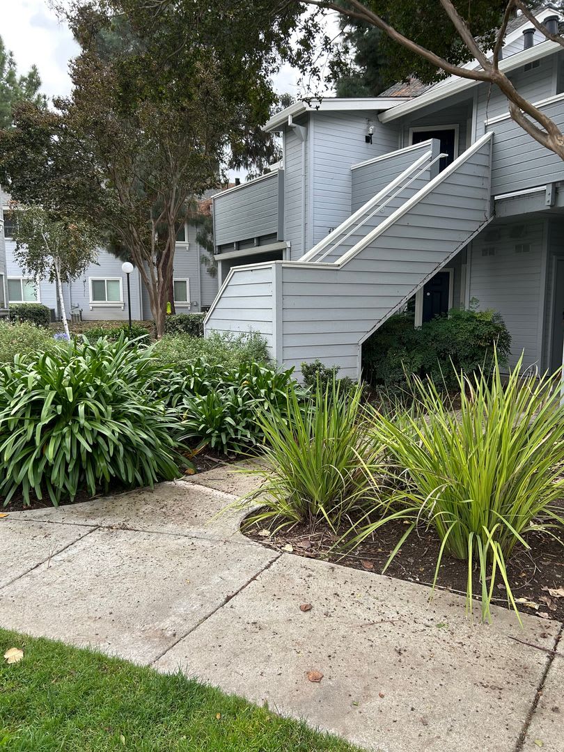 Spacious bright condo with new carpet and new paint and 2 bathrooms