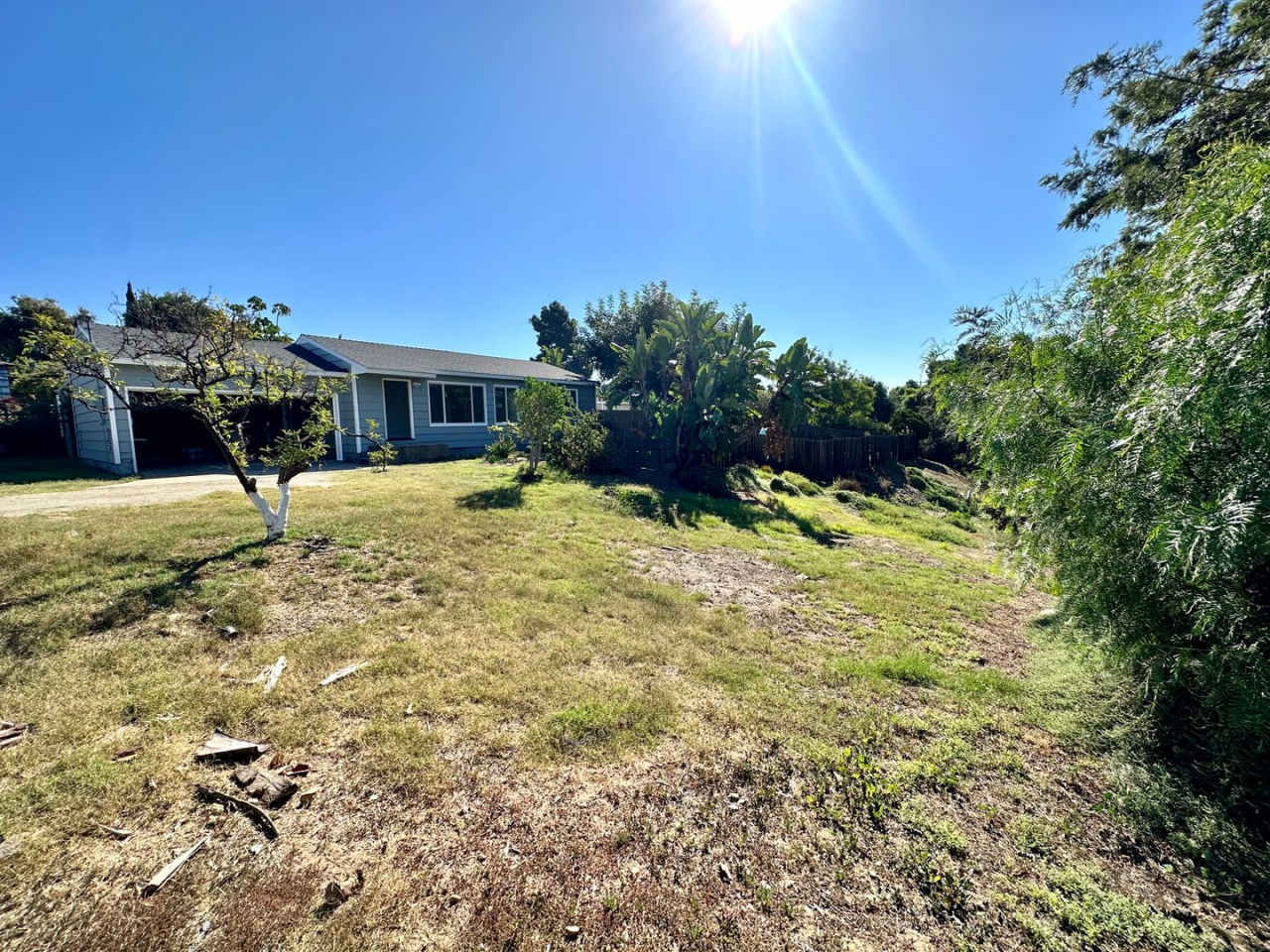 Country Living in the City