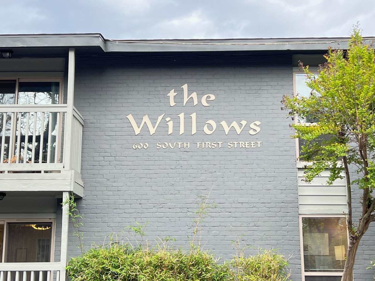 Willows