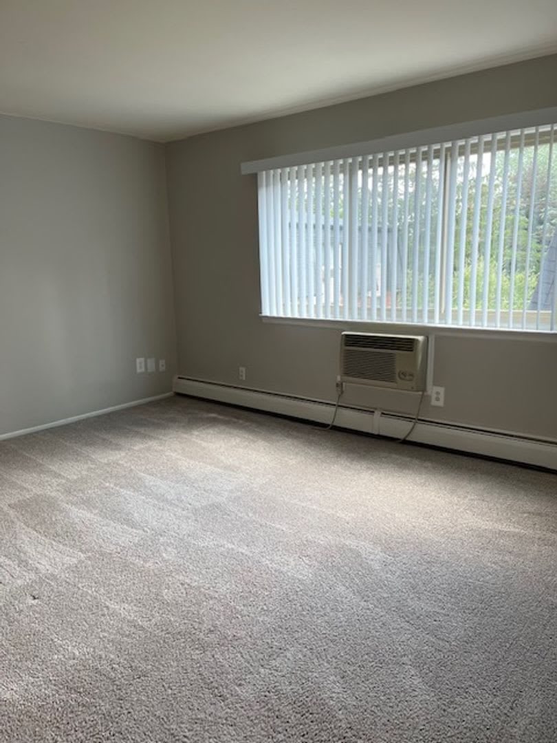 Charming 1 bedroom/1 bath near Downtown Rochester!