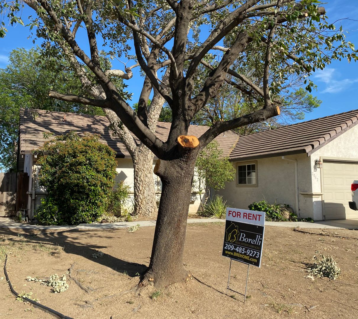 REDUCED!! Great Location in College Greens Area, Cozy 3 Bedroom 2 Bath Home for Rent!