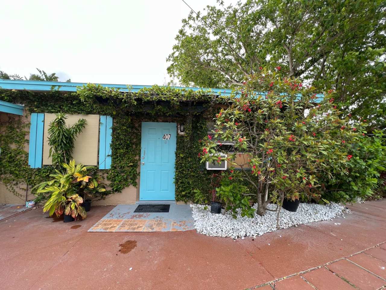 405 Hernando Street