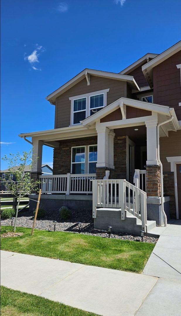 Charming 1BR House in Brighton