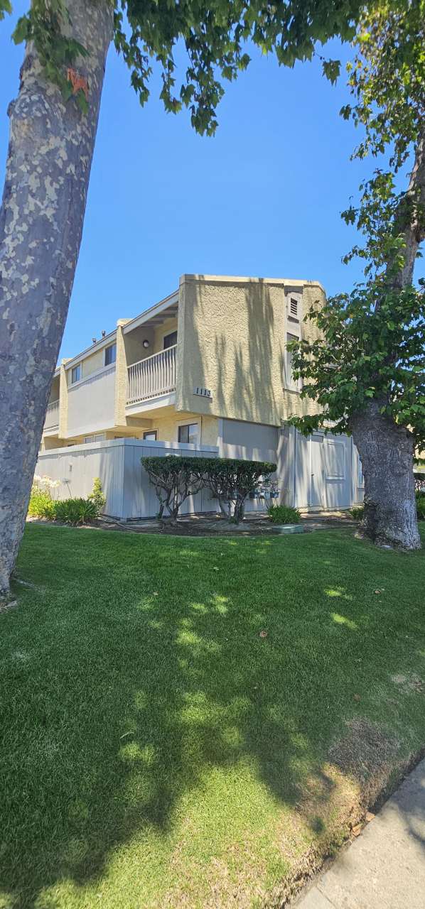 1113 W Cypress Ave Apt C