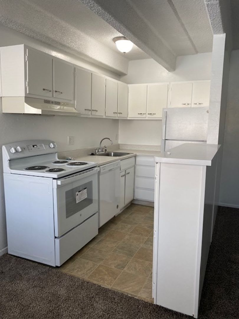 Newly remodeled 1-bedroom apartment near DU