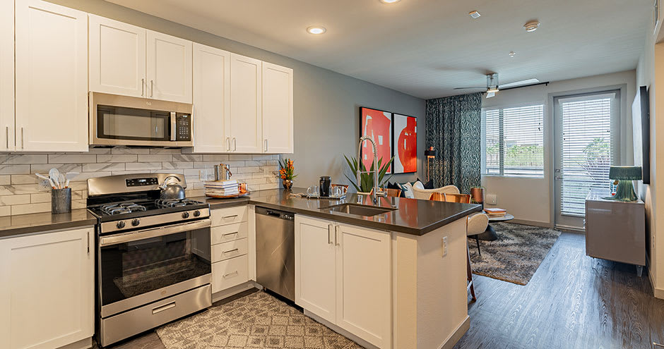 Buffalo at Desert Shores