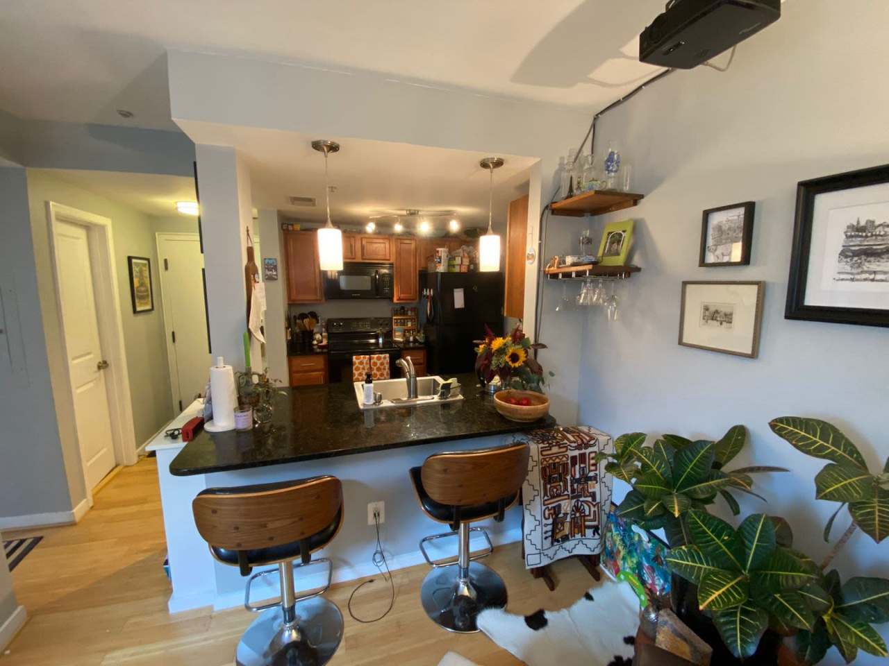Charming, Spacious and Sunlit 1 BD, 1 BA 3rd Floor Walk-up in Columbia Heights NW!!!