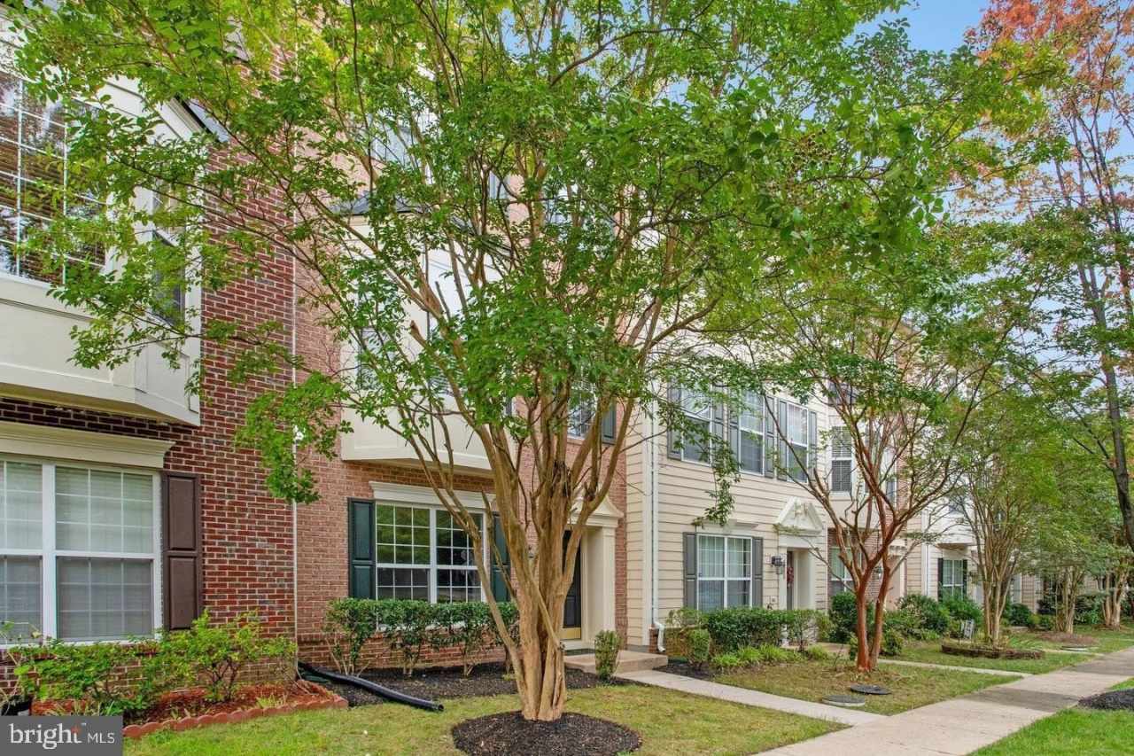 4903 CHASTE TREE Place