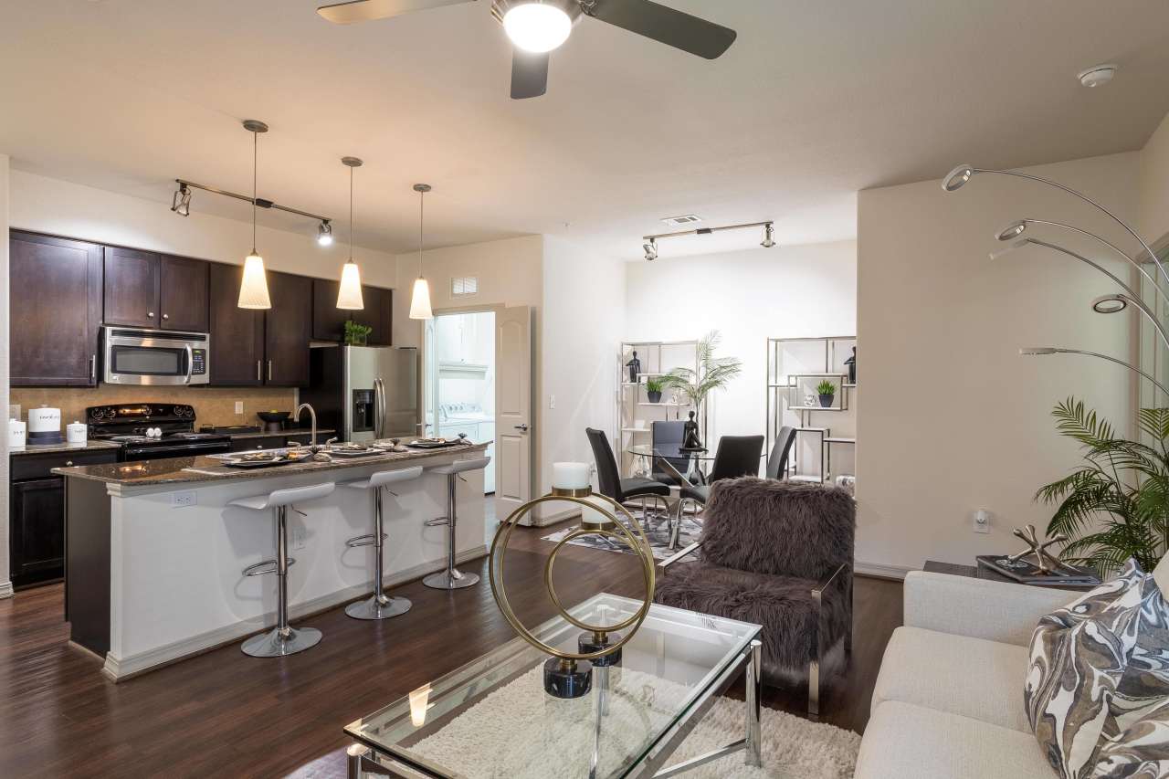 Discovery at Kingwood