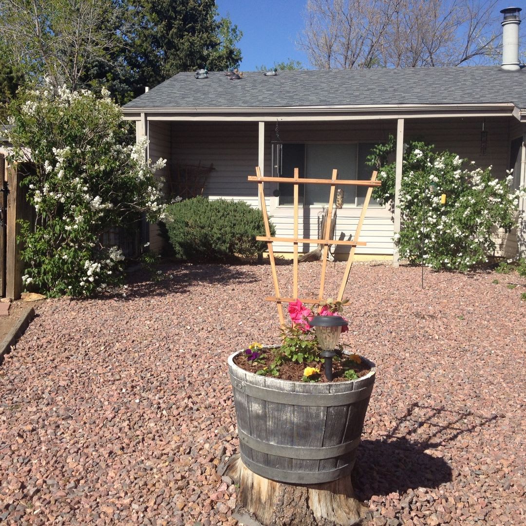 Charming 1BR House in Colorado Springs