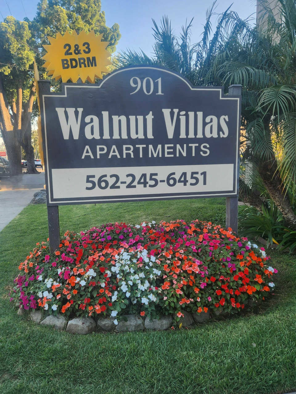 901 North Walnut Street