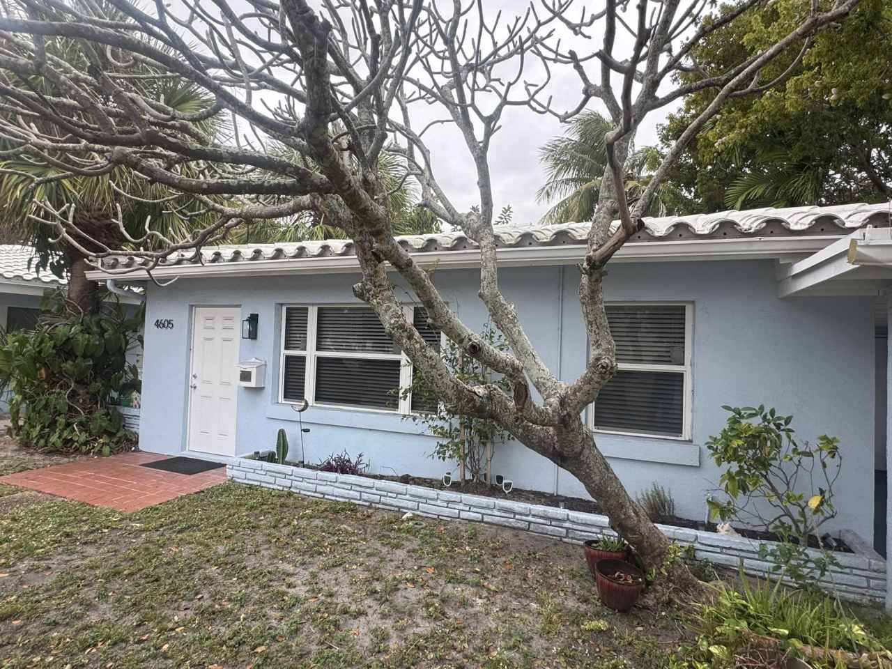 4605 Poinciana Street - North