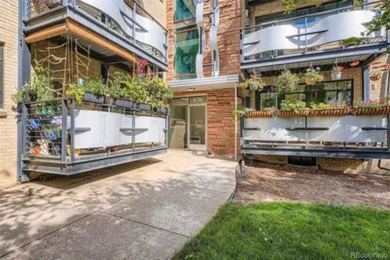 Charming 1BR Condo in Denver