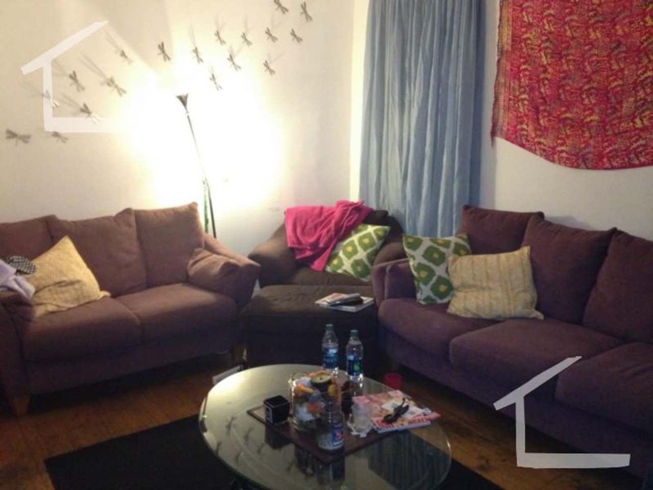 Great Studio Close to Blue Line and Ferry