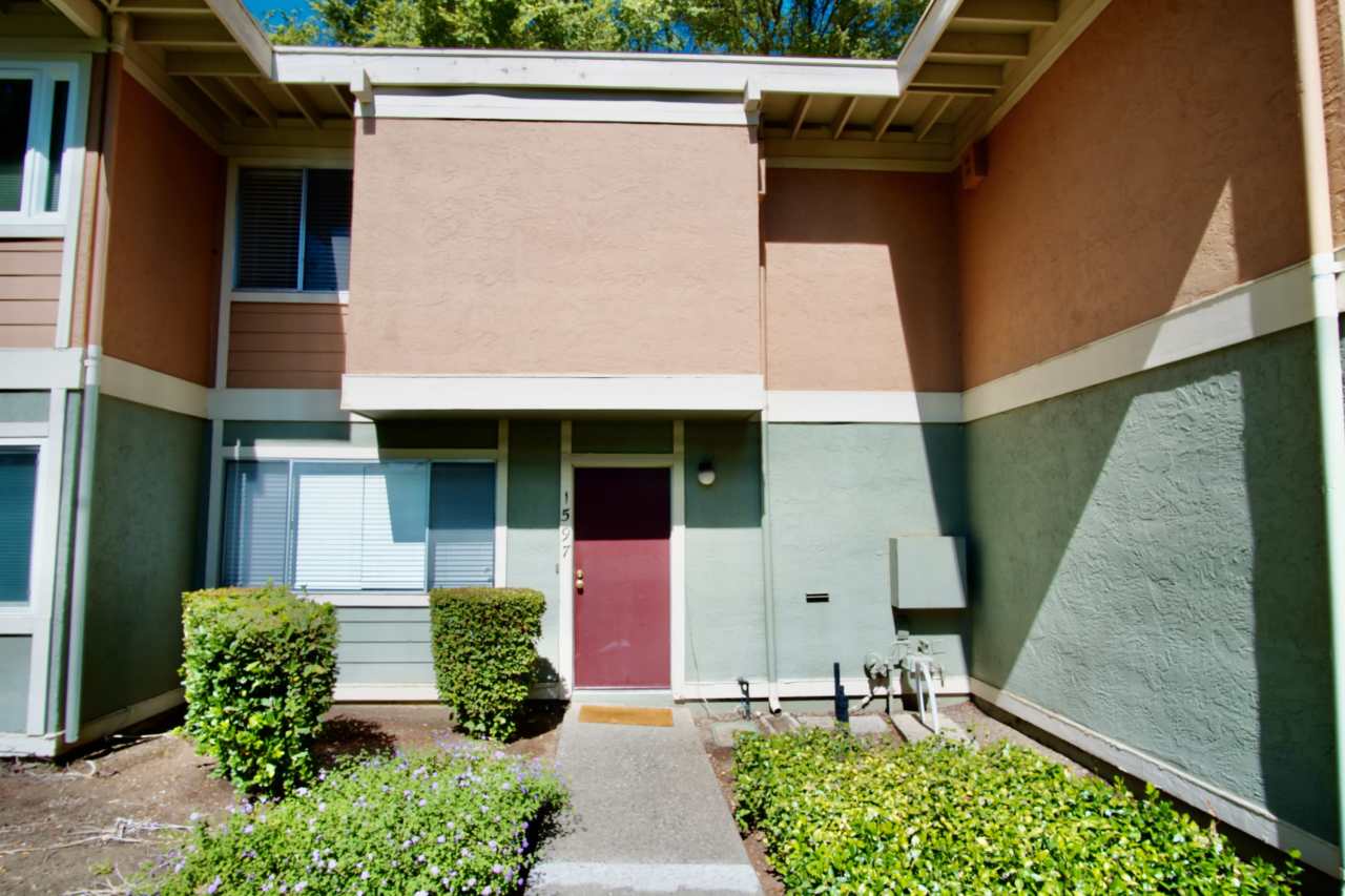 1597 Drake Drive - -