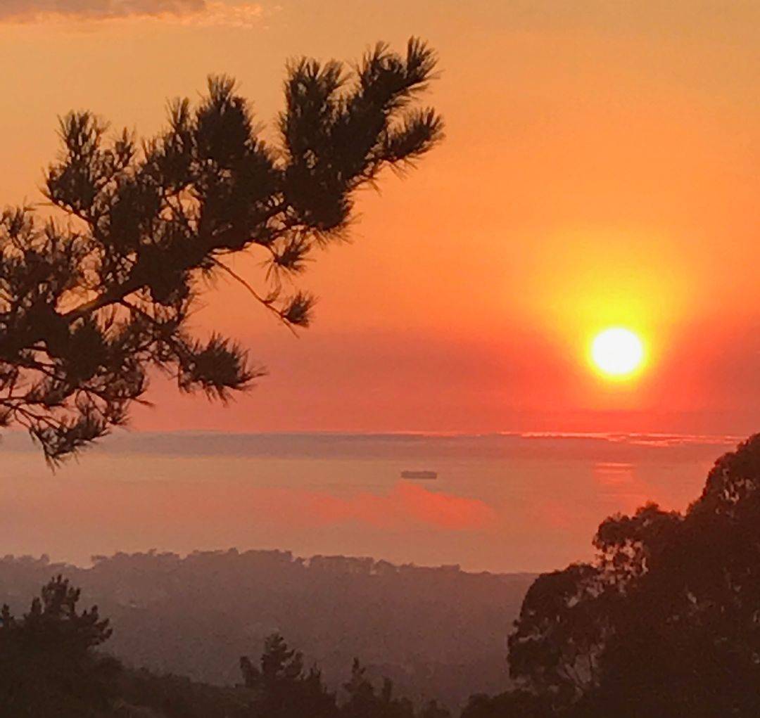 Peaceful Condo with Stunning Sunset  Ocean Views – Large 1Bed/1Bath