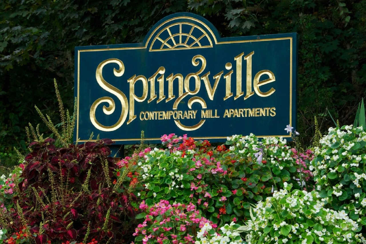 Springville Mill