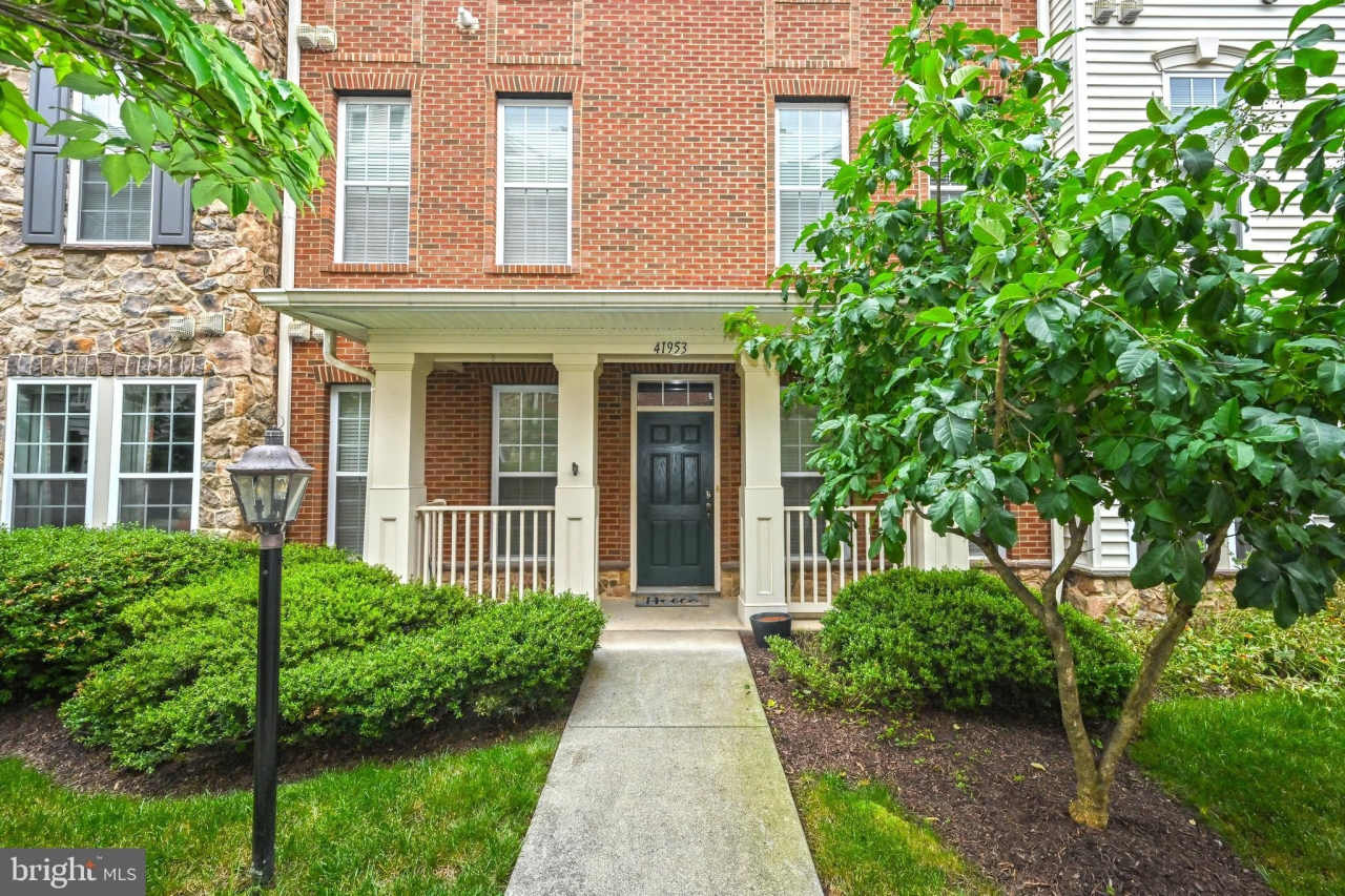 41953 BLUE FLAG Terrace