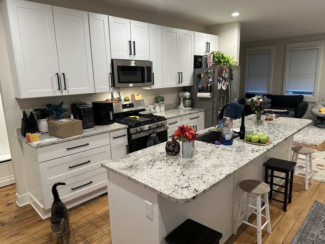 1044 Washington Avenue - 2