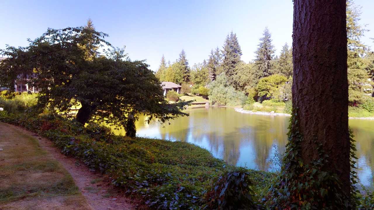 Private Lakefront Oasis in Sixty-01 Village