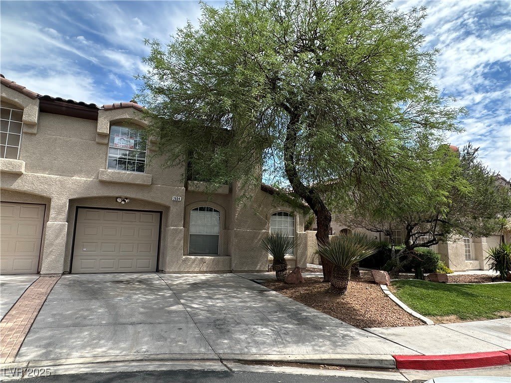 2604 Ponderosa Pine Avenue