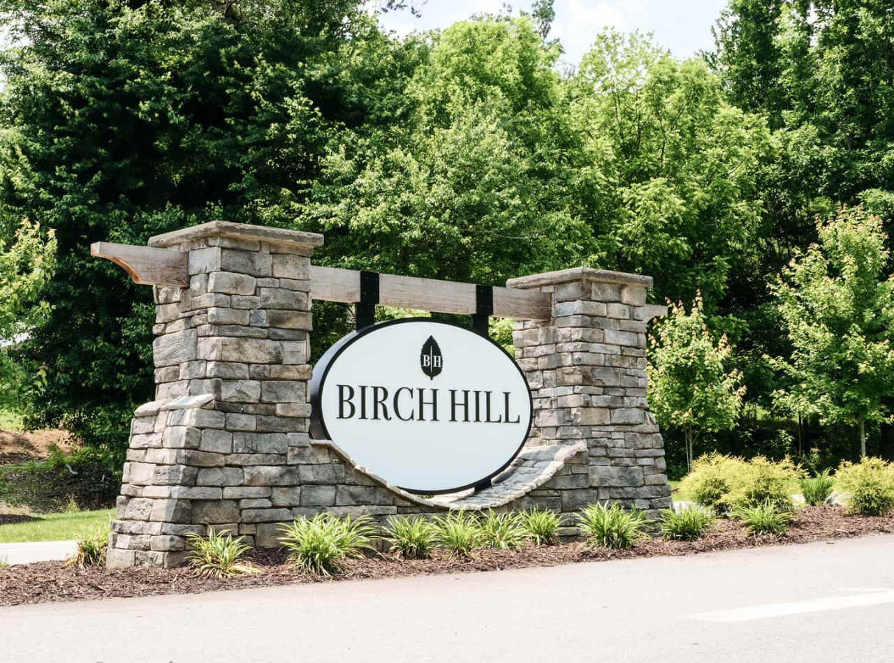 Birch Hill