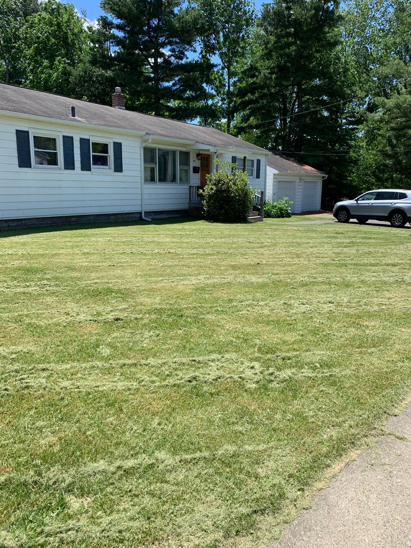 Wonderful 4 bedroom + South Burlington home