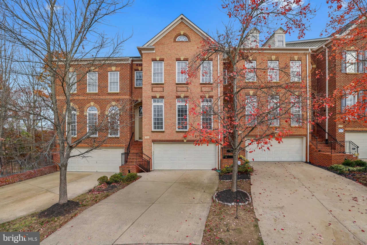 7106 POINT REPLETE Circle