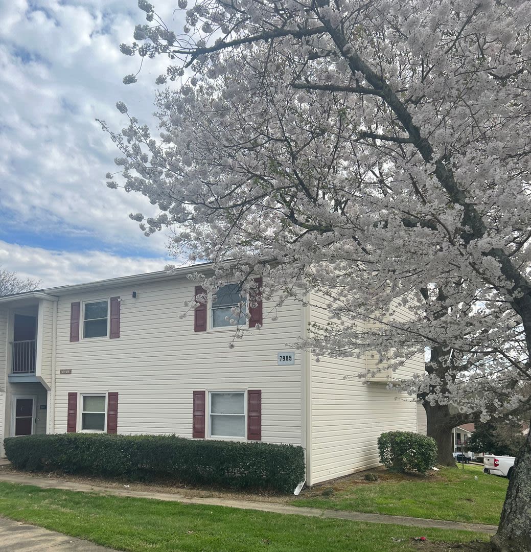 2 Bedroom/ 1 Bathroom $1150.00