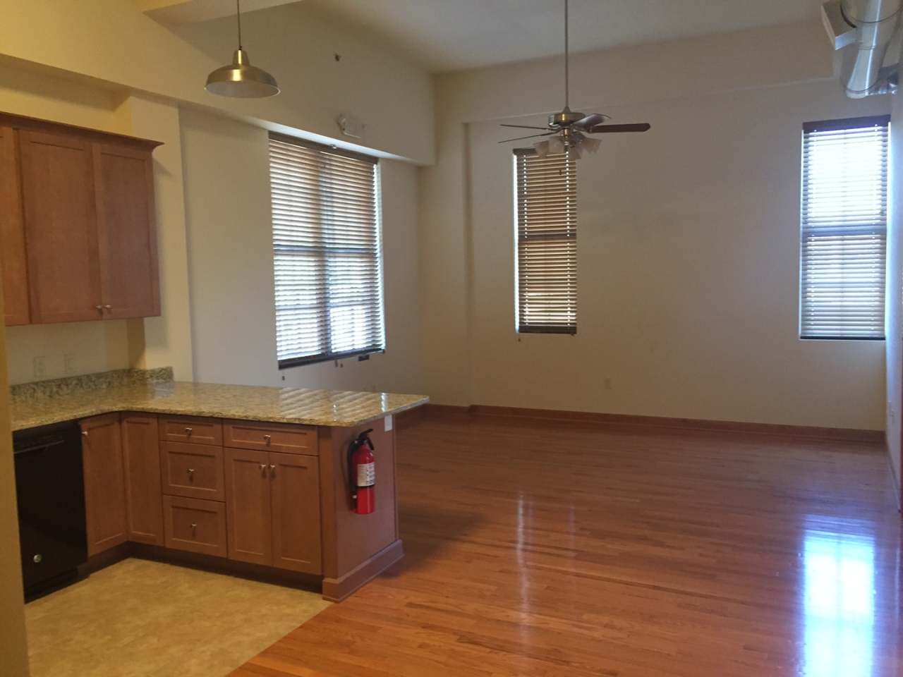 Pine Street Lofts - Residential