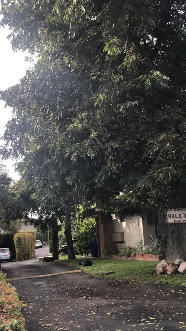 1028 West Huntington Drive