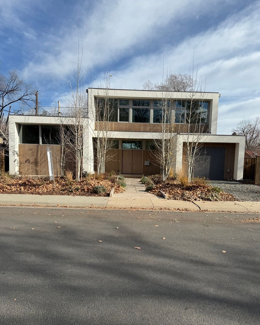 Silver Maple Stunning