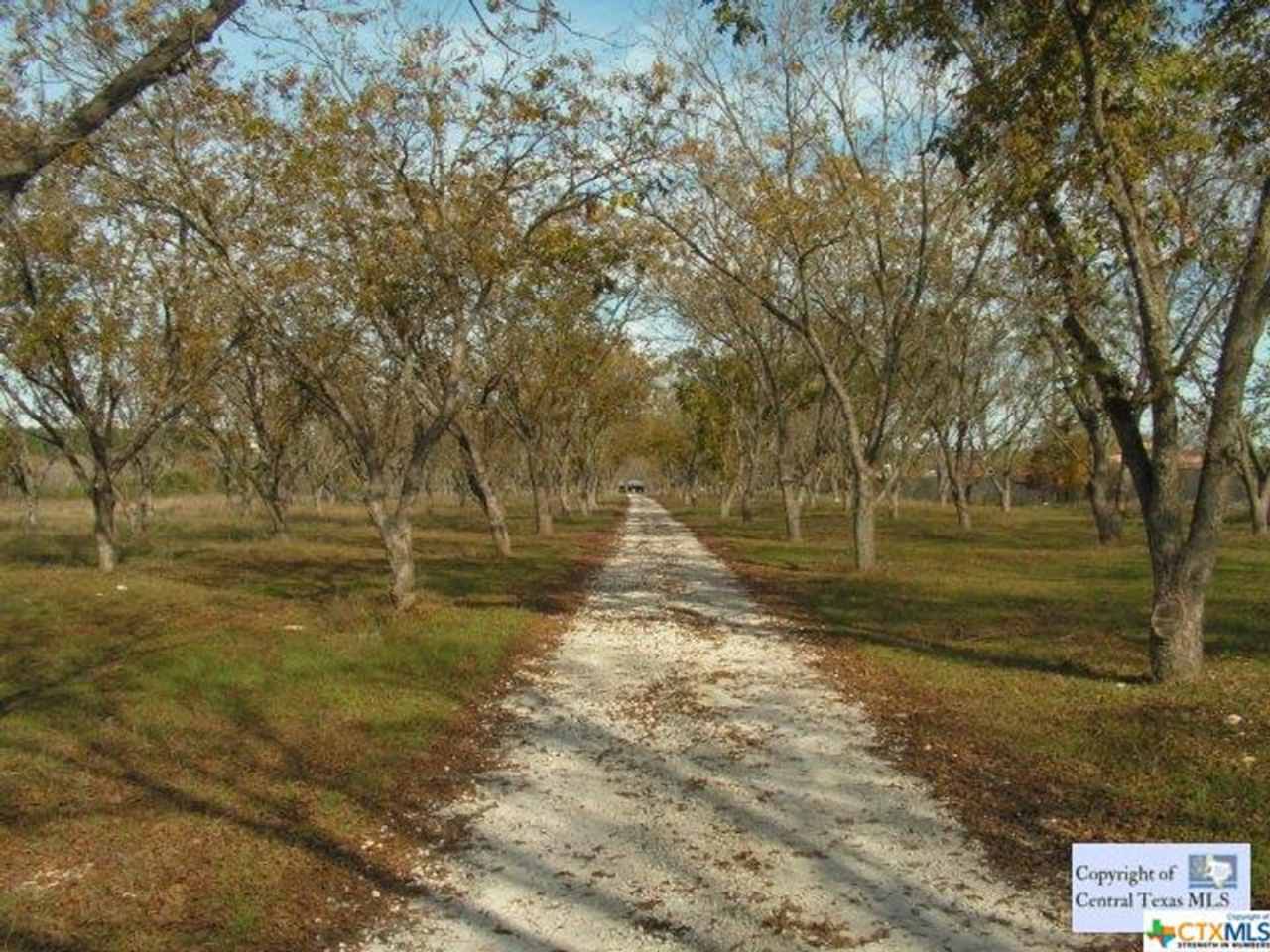 BIG PRICE DROP!! /// RIVER FRONT CABIN AVAILABLE!!